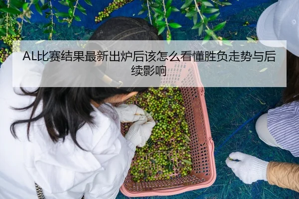 AL比赛结果最新出炉后该怎么看懂胜负走势与后续影响 - kaiyun